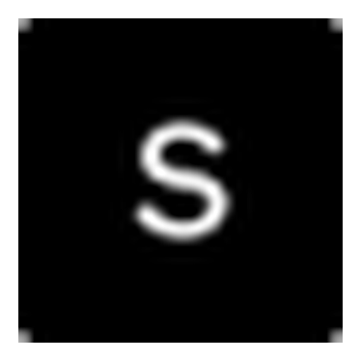 Surge AI