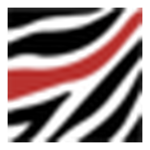 Zebra Medical